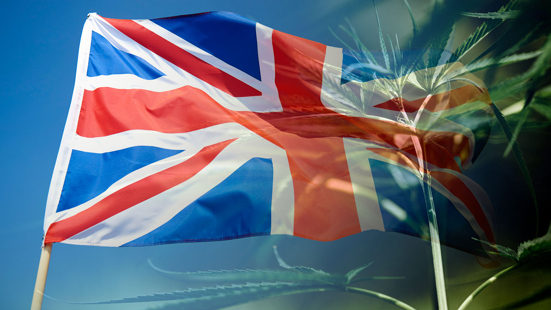 Buenas prácticas Cannabis Medicinal en UK