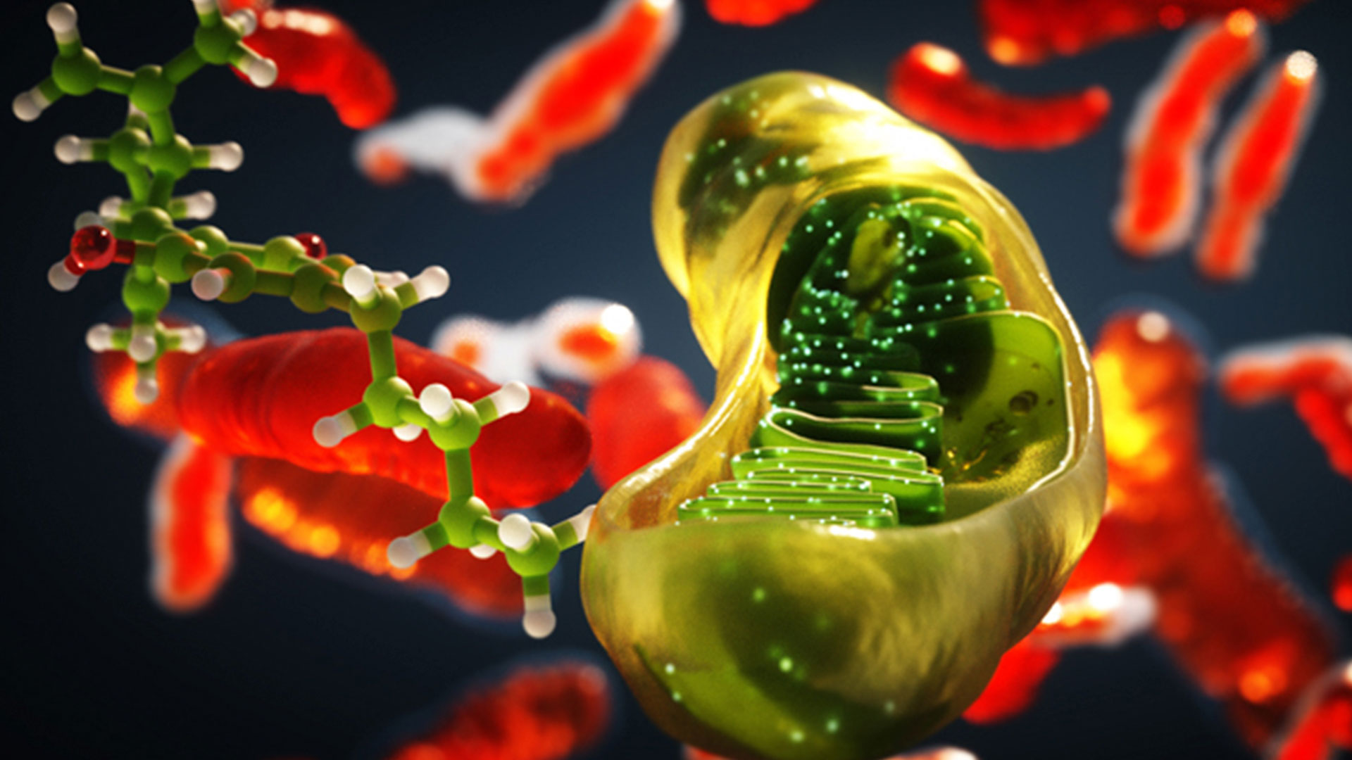 Representación tridimensional de la acción de una molécula de cannabidiol en las mitocondrias de una neurona. (© INc-UAB)