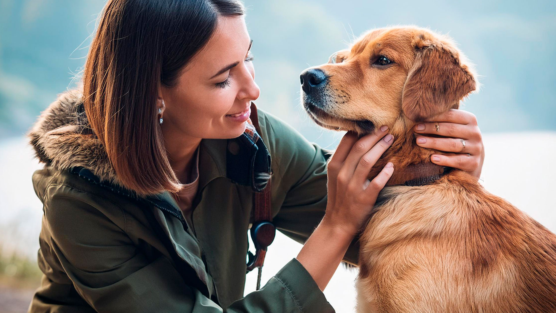 Uso del CBD para mascotas ¿qué hay que saber?
