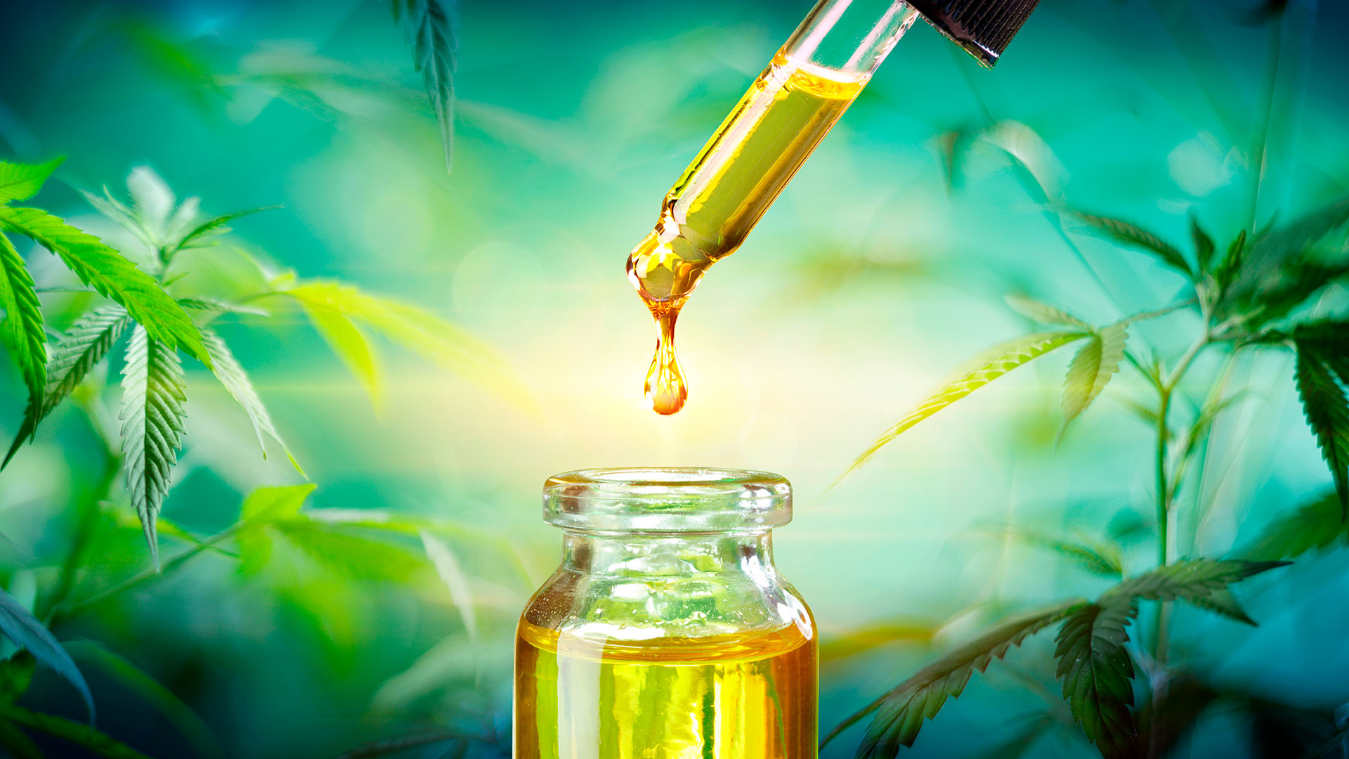 ¿Se puede vender CBD en la farmacia?