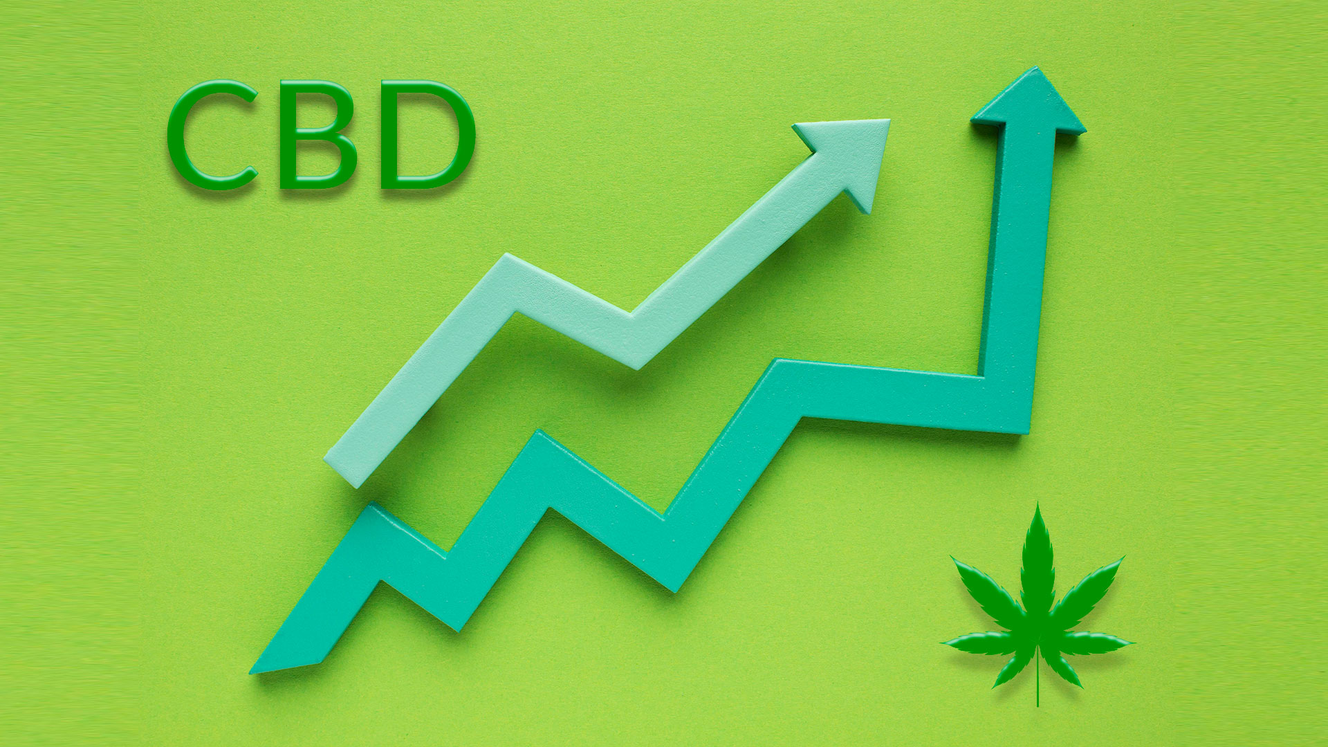 El mercado del CBD está creando negocios y empleo en Europa