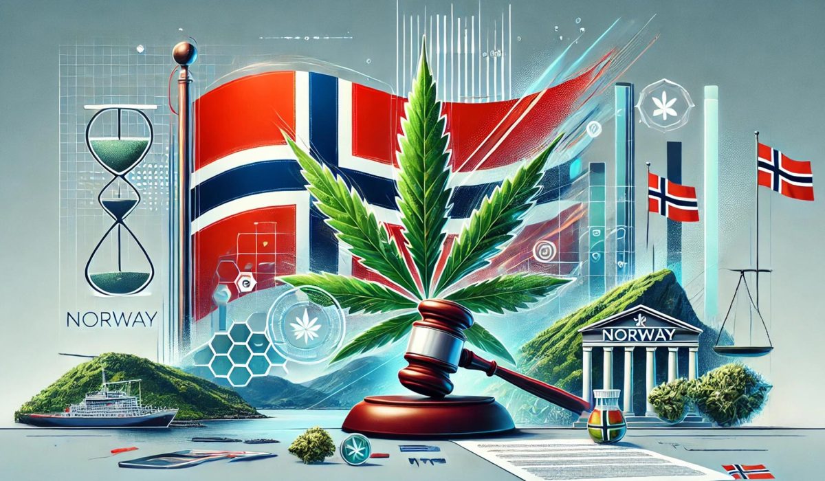 Noruega presenta propuestas para la legalización del cannabis legal versus mercado negro