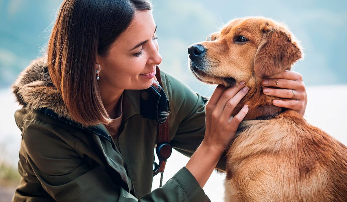 Uso del CBD para mascotas ¿qué hay que saber?